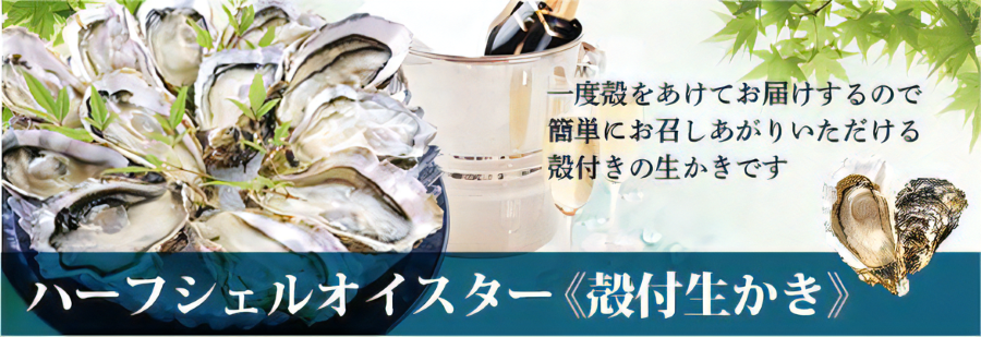 かなわオイスター　広島県産　生食用かき　むき身