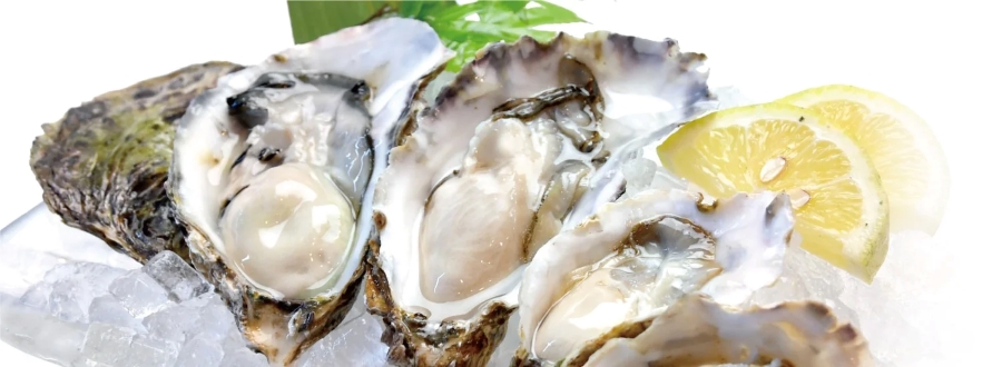 かなわ　かなわ海産　大黒神島　生食用　生かき　かなわの生かき　広島県産　牡蠣　かき