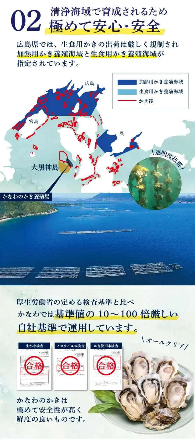 安全安心なかなわの広島かき